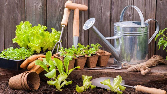 5 Important Benefits of Gardening