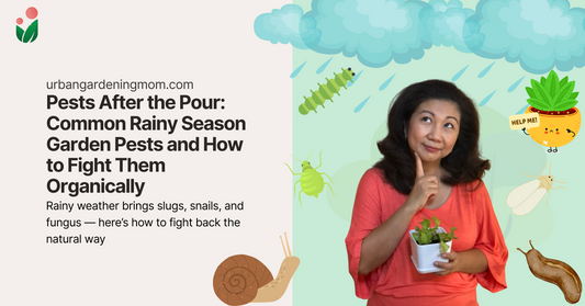 Pests After the Pour: Common Rainy Season Garden Pests and How to Fight Them Chemical-Free Way