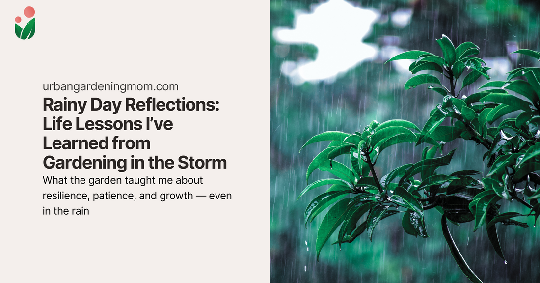Rainy Day Reflections: Life Lessons I’ve Learned from Gardening in the Storm