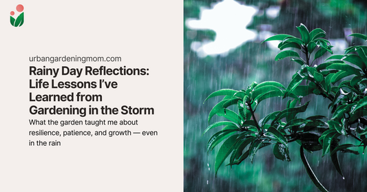 Rainy Day Reflections: Life Lessons I’ve Learned from Gardening in the Storm