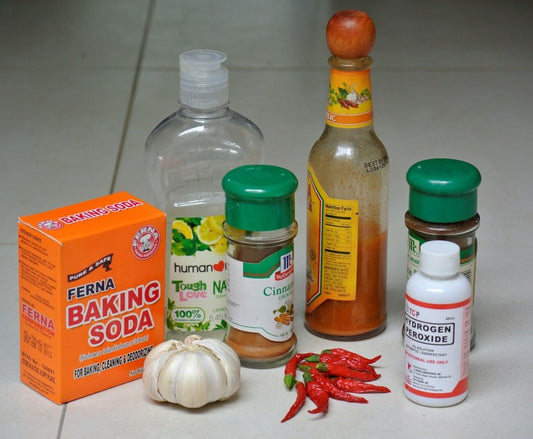 Useful Home-made Remedies to Get Rid of Pests in the Garden