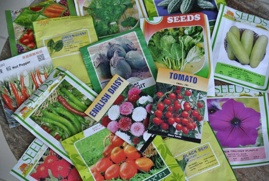 A Primer on Seeds and Seed Germination