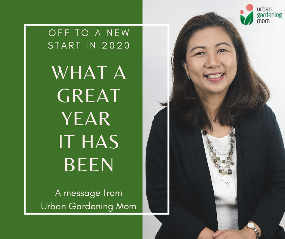 Urban Gardening Mom: Off to a Great Start in 2020