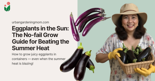 Eggplants in the Sun: Your No-Fail Summer Grow Guide to Beat the Summer Heat