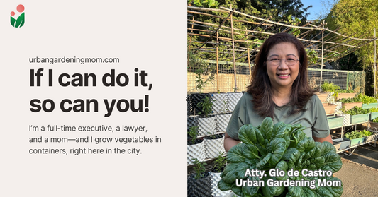 How a Corporate Executive Like Me Became an Urban Gardening Advocate