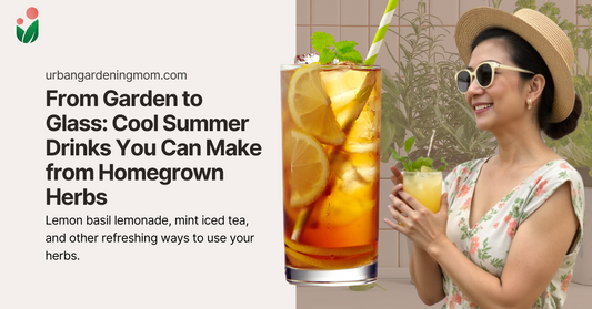 From Garden to Glass: Cool Summer Drinks You Can Make from Homegrown Herbs