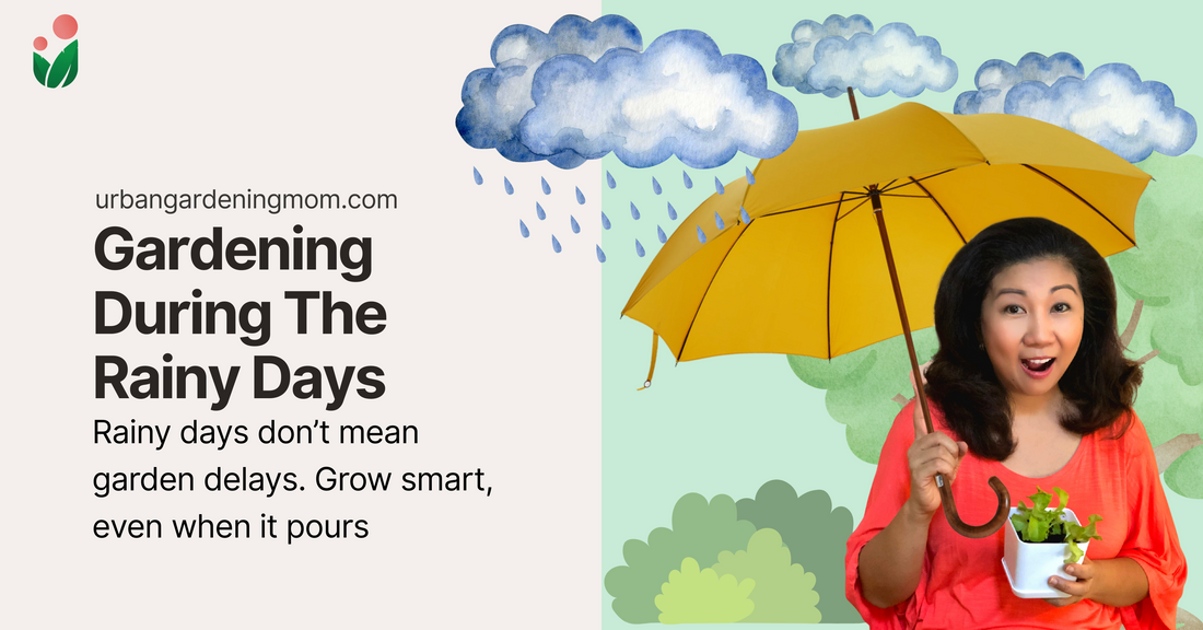 Rain or Shine: How to Keep Gardening Stress-Free During the Rainy Season