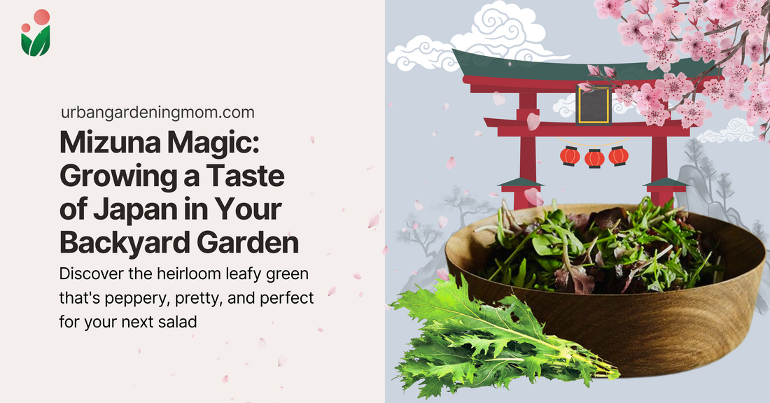 Mizuna Magic: Growing a Taste of Japan in Your Backyard Garden