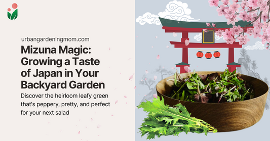 Mizuna Magic: Growing a Taste of Japan in Your Backyard Garden