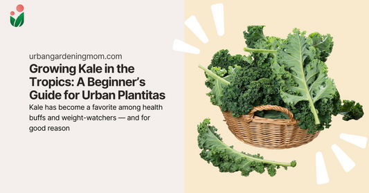 Growing Kale in the Tropics: A Beginner’s Guide for Urban Plantitas