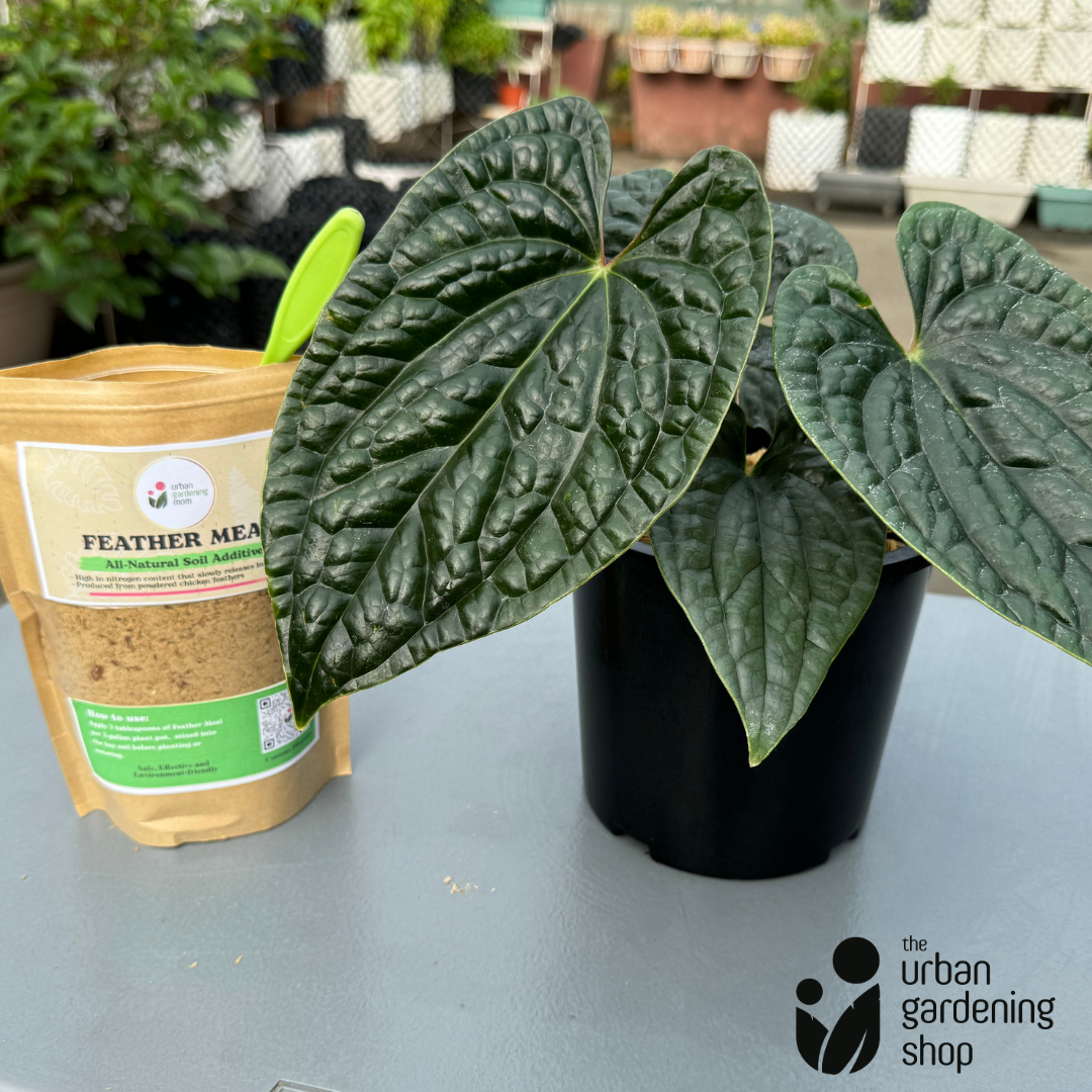 Feather Meal - All-Natural Soil Additive Derived from Poultry Feathers
