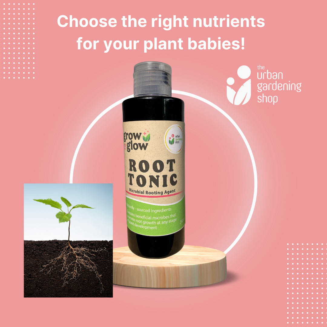 Indoor Plant Tonic - for Houseplants and Home Garden Use 250ml