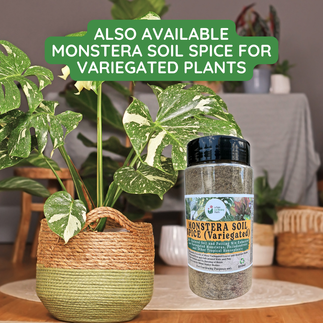 Monstera Soil Spice - All Natural Soil Additive and Plant Food for Monstera, Philodendron and other Tropical Houseplants