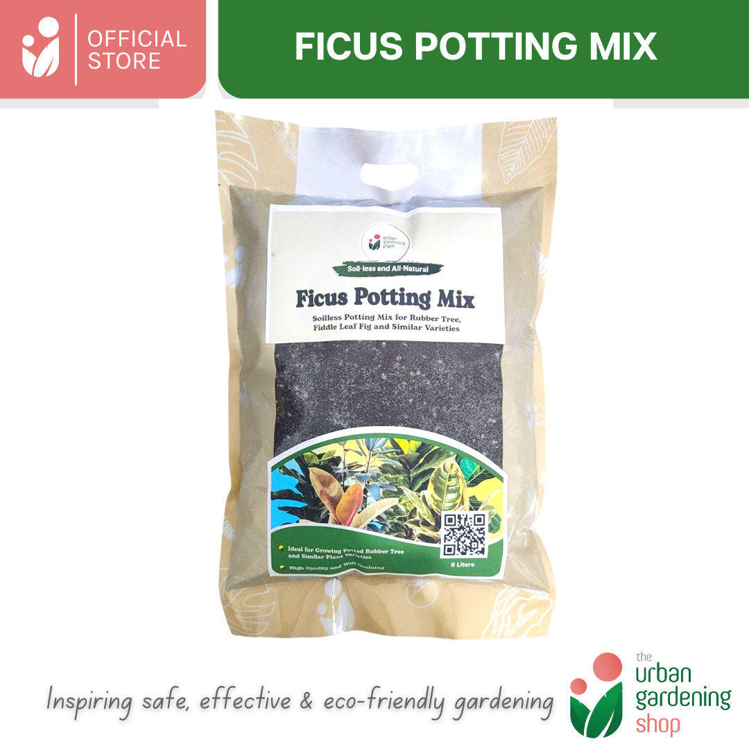8-Liter Ficus Mix - Soilless Potting Mix for Ficus (Rubber Plants)