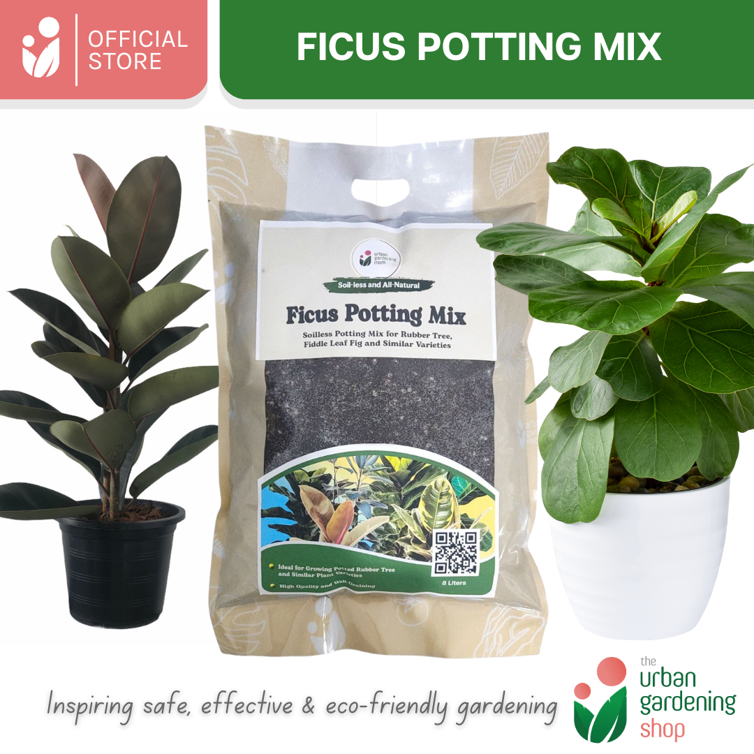 8-Liter Ficus Mix - Soilless Potting Mix for Ficus (Rubber Plants)