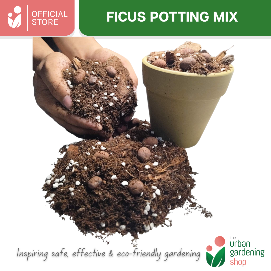 8-Liter Ficus Mix - Soilless Potting Mix for Ficus (Rubber Plants)