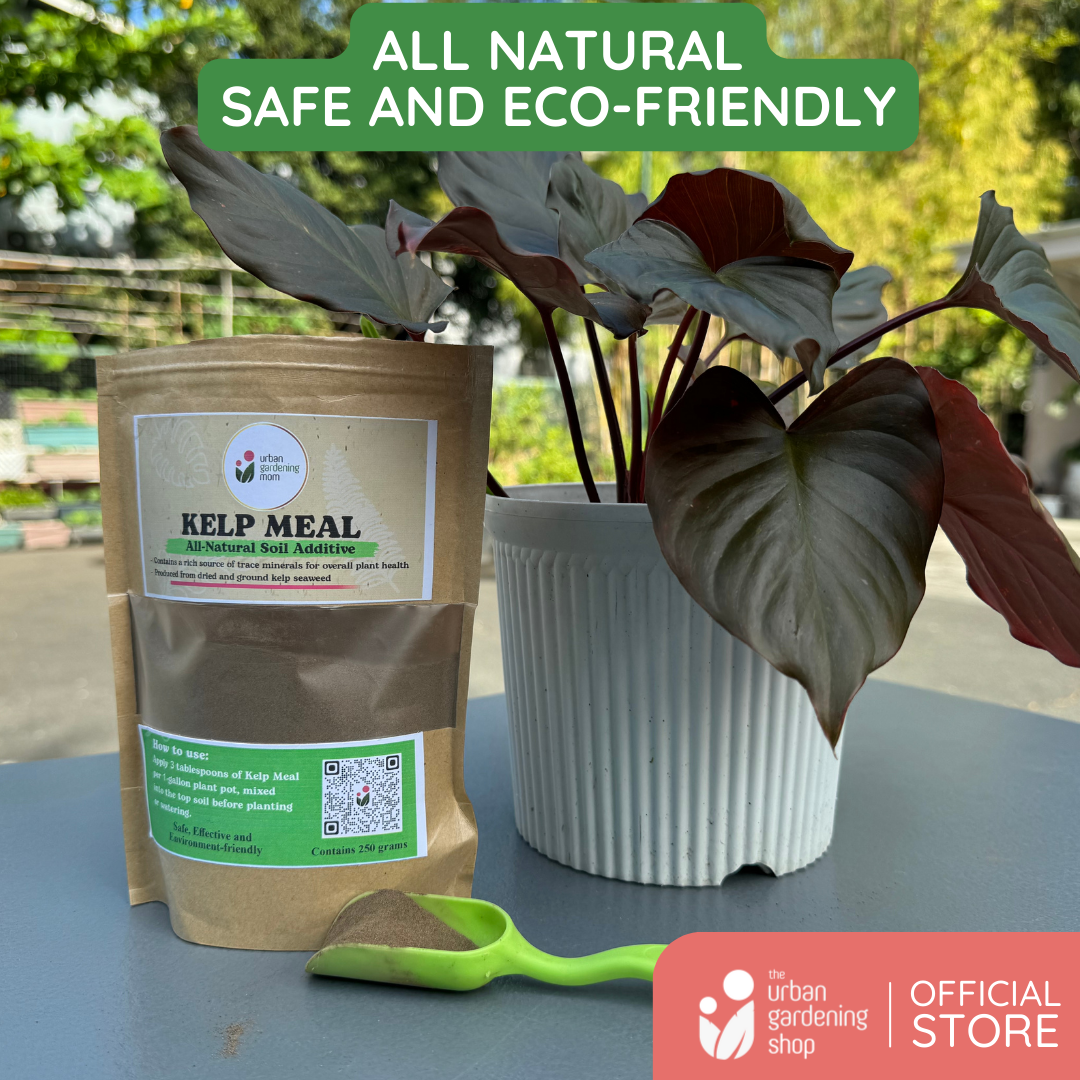 Kelp Meal - All-Natural Garden Soil Additive Derived from Kelp Seaweeds