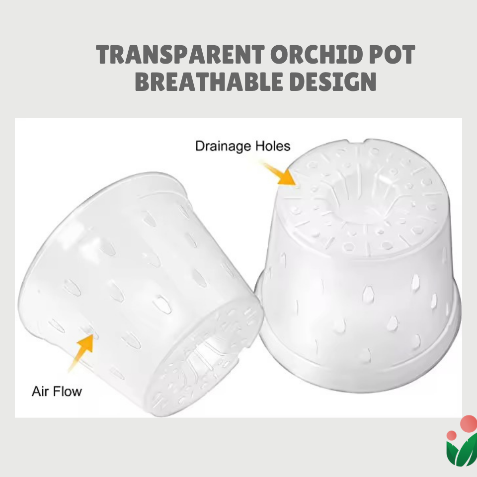 Breathable and Transparent Orchid Pot with Catch Plate