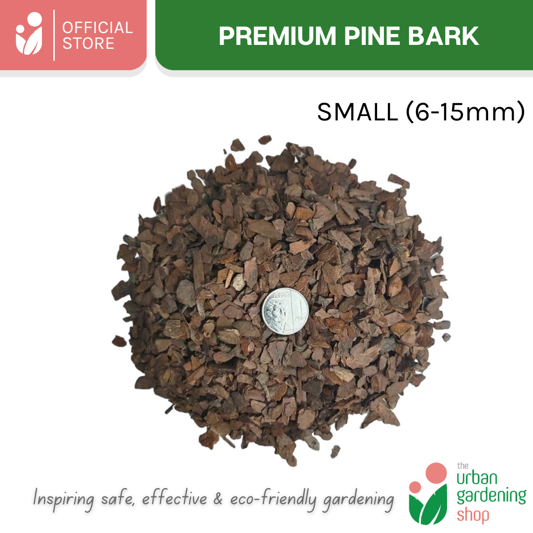 Premium Pine Bark Mulch| Ideal Mulch and Soil Amendment For Orchids, Aroids and Succulents