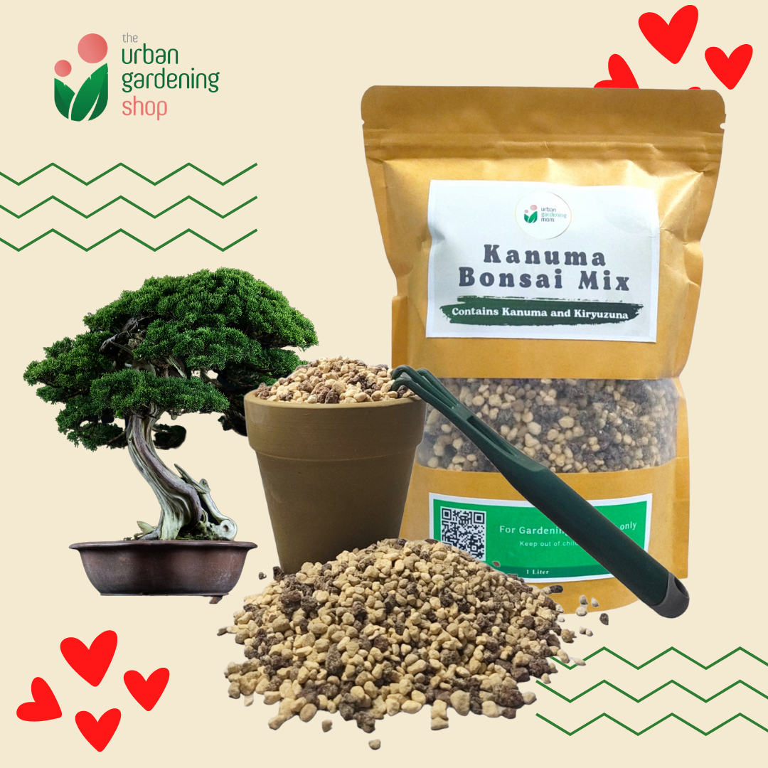 1-liter Kanuma Bonsai Mix - Pre-mixed and Ready to Use