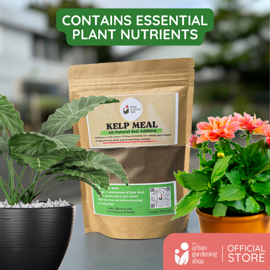 Kelp Meal - All-Natural Garden Soil Additive Derived from Kelp Seaweeds