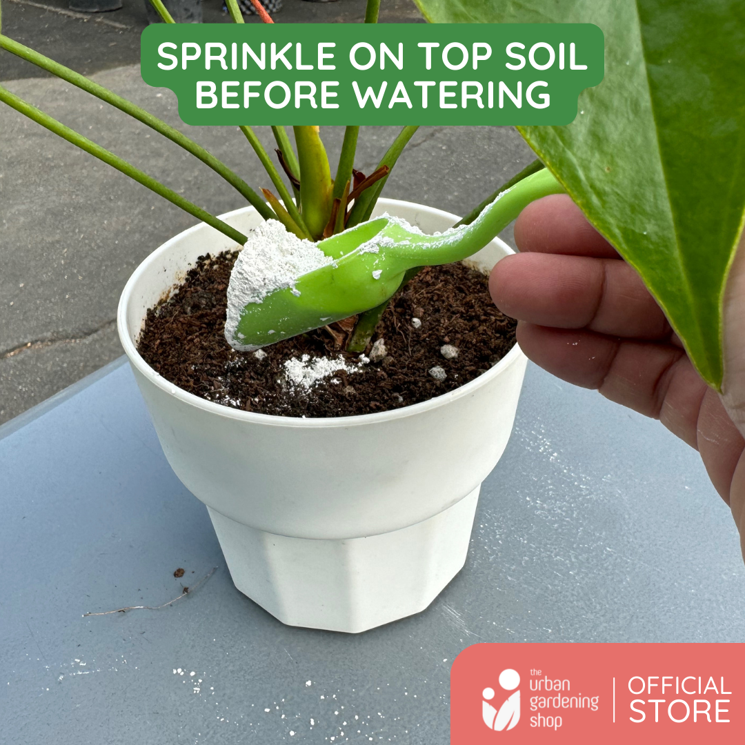 Bone Ash - All Natural Garden Soil Additive Derived from Calcined Livestock Bones Containing a Rich Source of Calcium and Phosphorus
