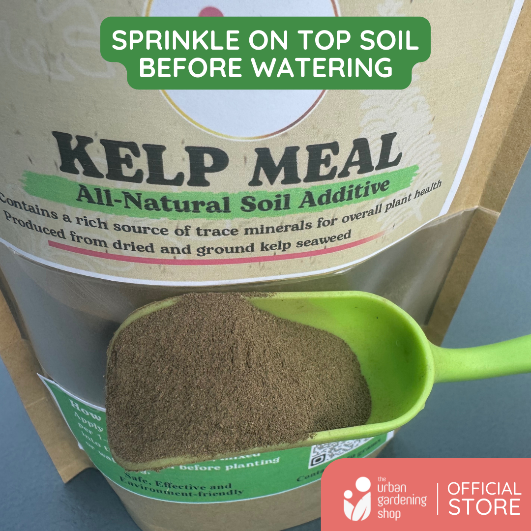 Kelp Meal - All-Natural Garden Soil Additive Derived from Kelp Seaweeds