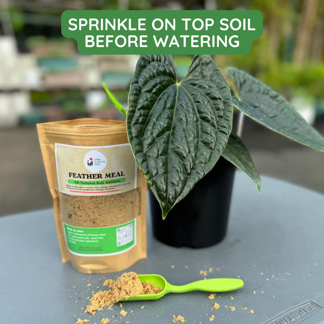 Feather Meal - All-Natural Soil Additive Derived from Poultry Feathers