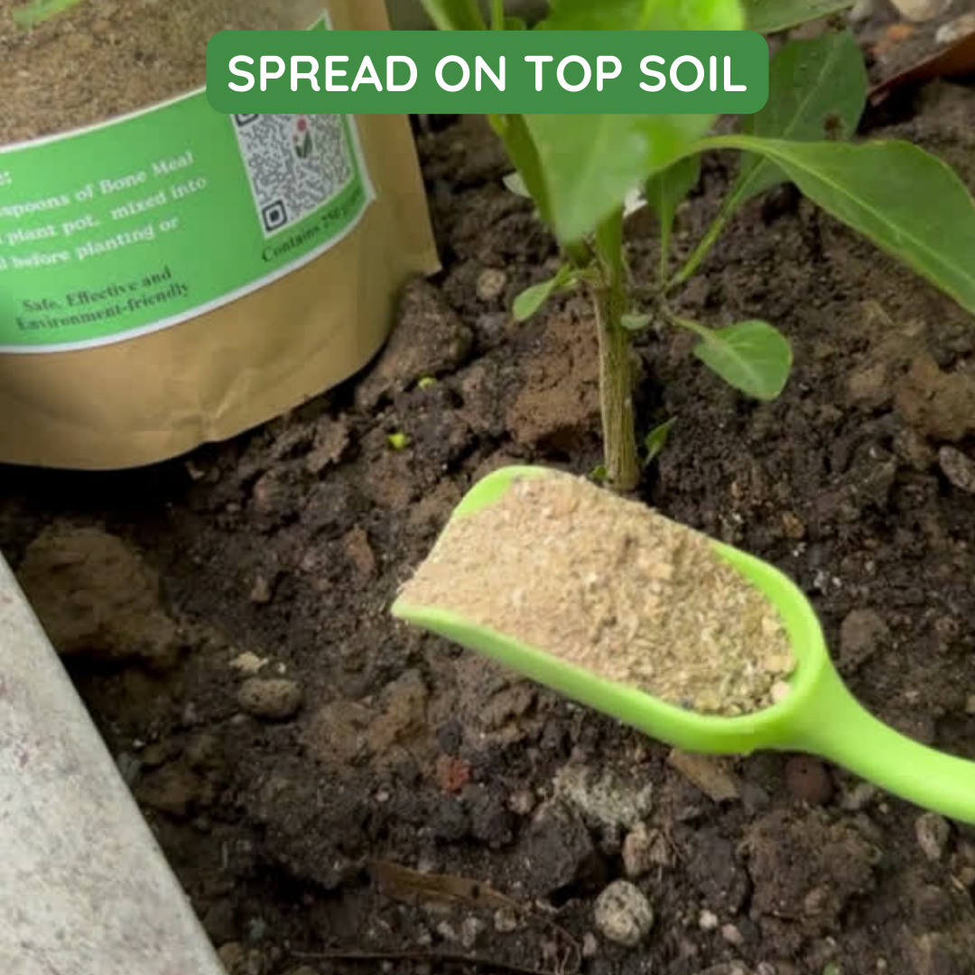 Bone Meal - An All- Natural Soil Additive Derived from Dried and Ground Livestock Bones