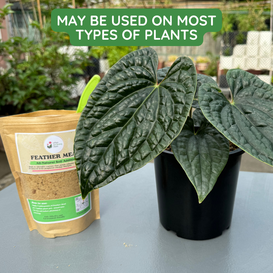 Feather Meal - All-Natural Soil Additive Derived from Poultry Feathers