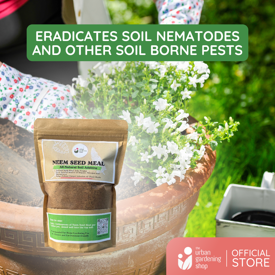 Neem Seed Meal - All - Natural Soil Additive Derived from Ground Neem Cake Powder