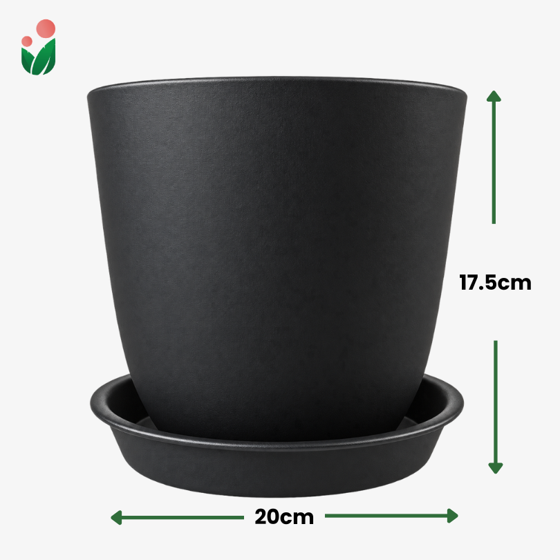 Classique Premium Plastic Plant Pot with Matching Catch Plate | Elegant Matte Textured Planter for Home Decor & Gardening | White or Black | 14cm, 18cm & 20cm