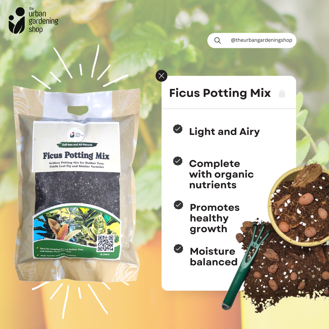 8-Liter Ficus Mix - Soilless Potting Mix for Ficus (Rubber Plants)