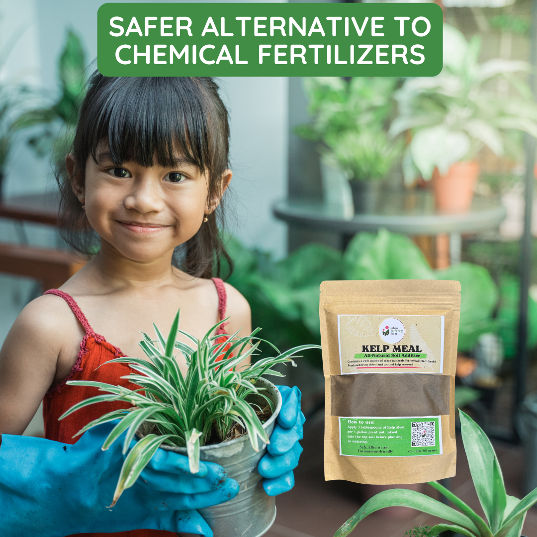 Kelp Meal - All-Natural Garden Soil Additive Derived from Kelp Seaweeds