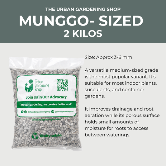 2KG Pumice Garden Rocks and Pebbles for Potting Mix and Container Gardening - Pumice stones for preparing garden growing media and caring for potted plants | The Urban Gardening Shop
