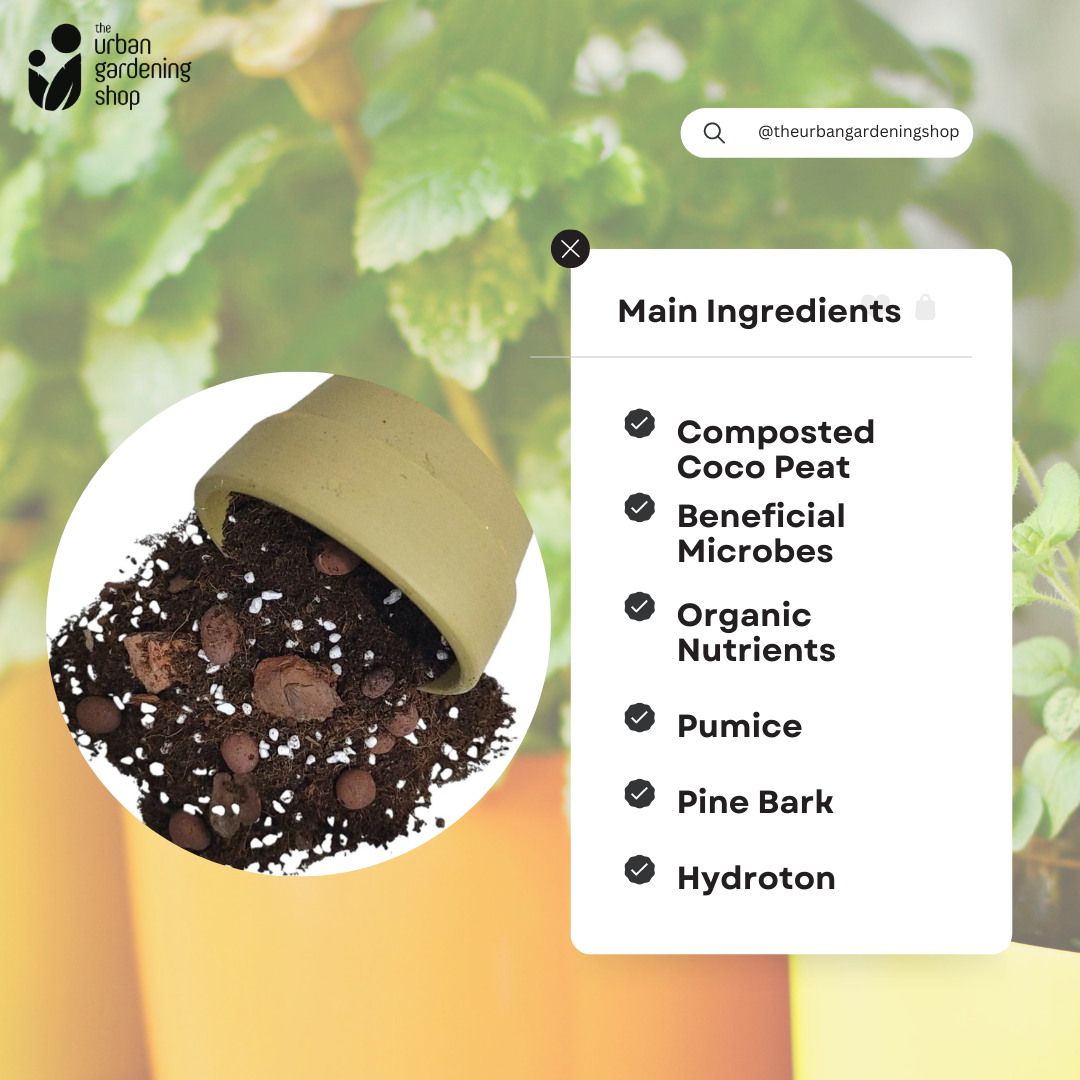 8-Liter Ficus Mix - Soilless Potting Mix for Ficus (Rubber Plants)