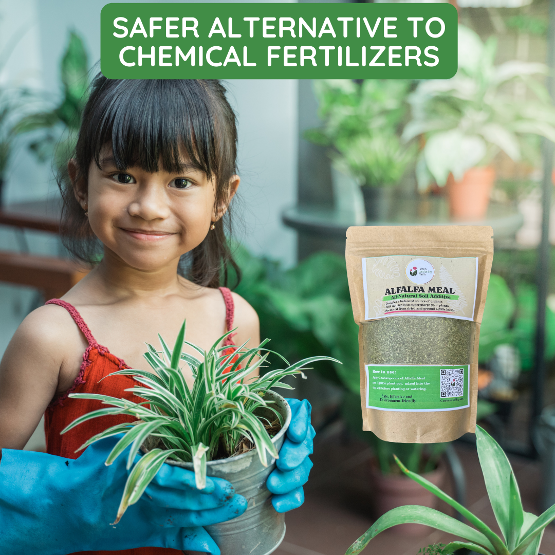 Alfalfa Meal - All-Natural Garden Soil Additive Derived from Dried Alfalfa