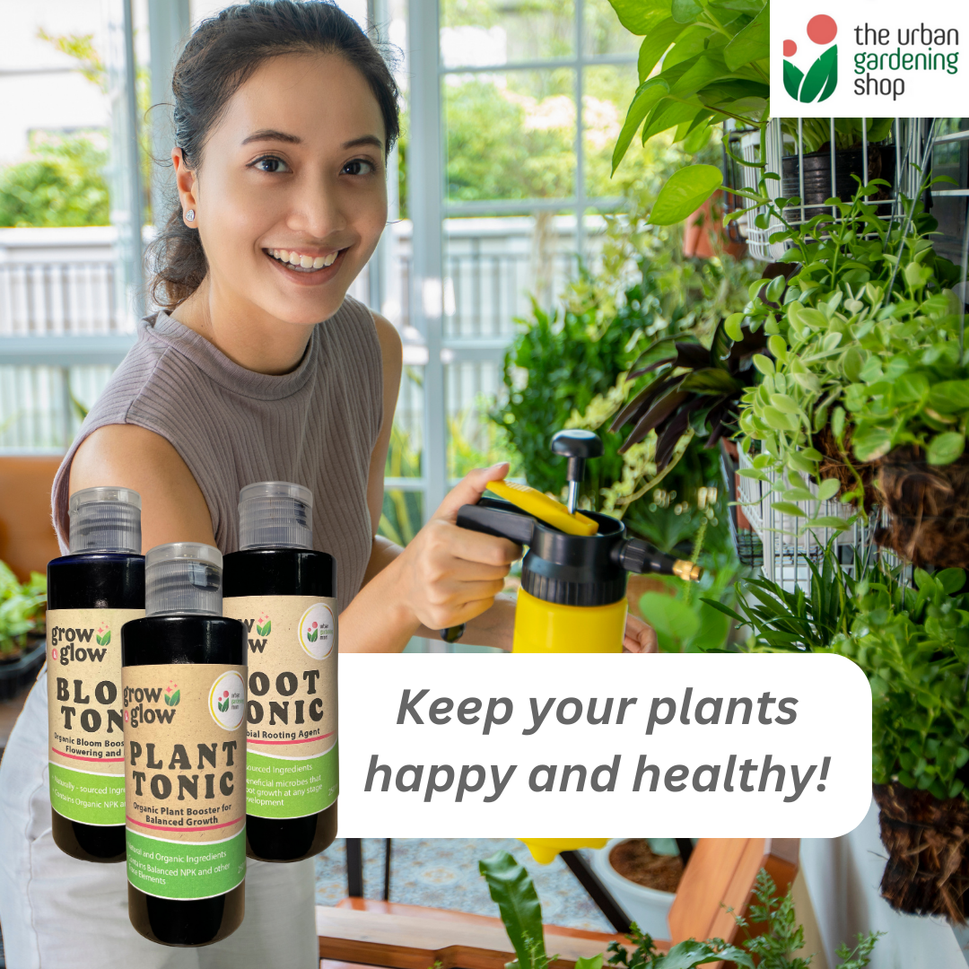 Indoor Plant Tonic - for Houseplants and Home Garden Use 250ml