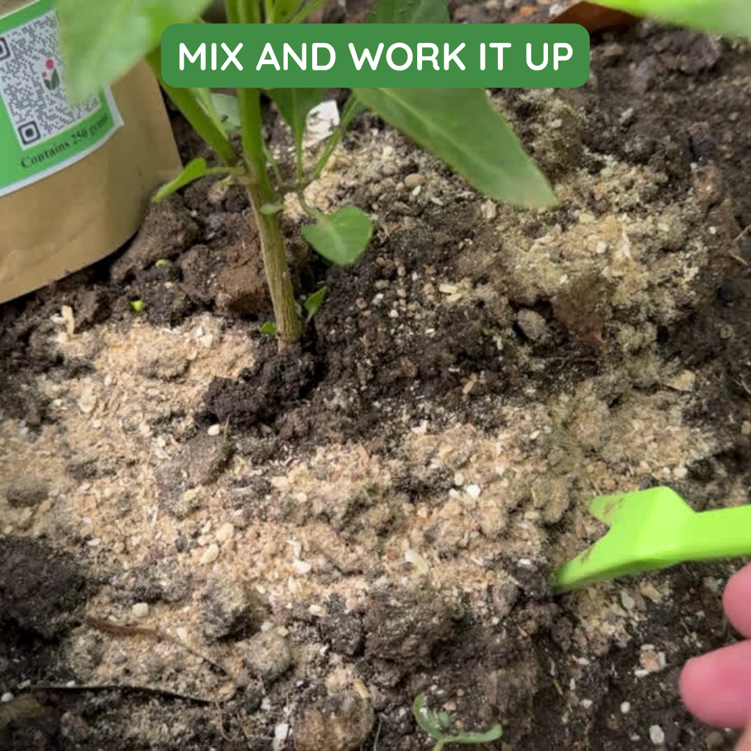 Bone Meal - An All- Natural Soil Additive Derived from Dried and Ground Livestock Bones