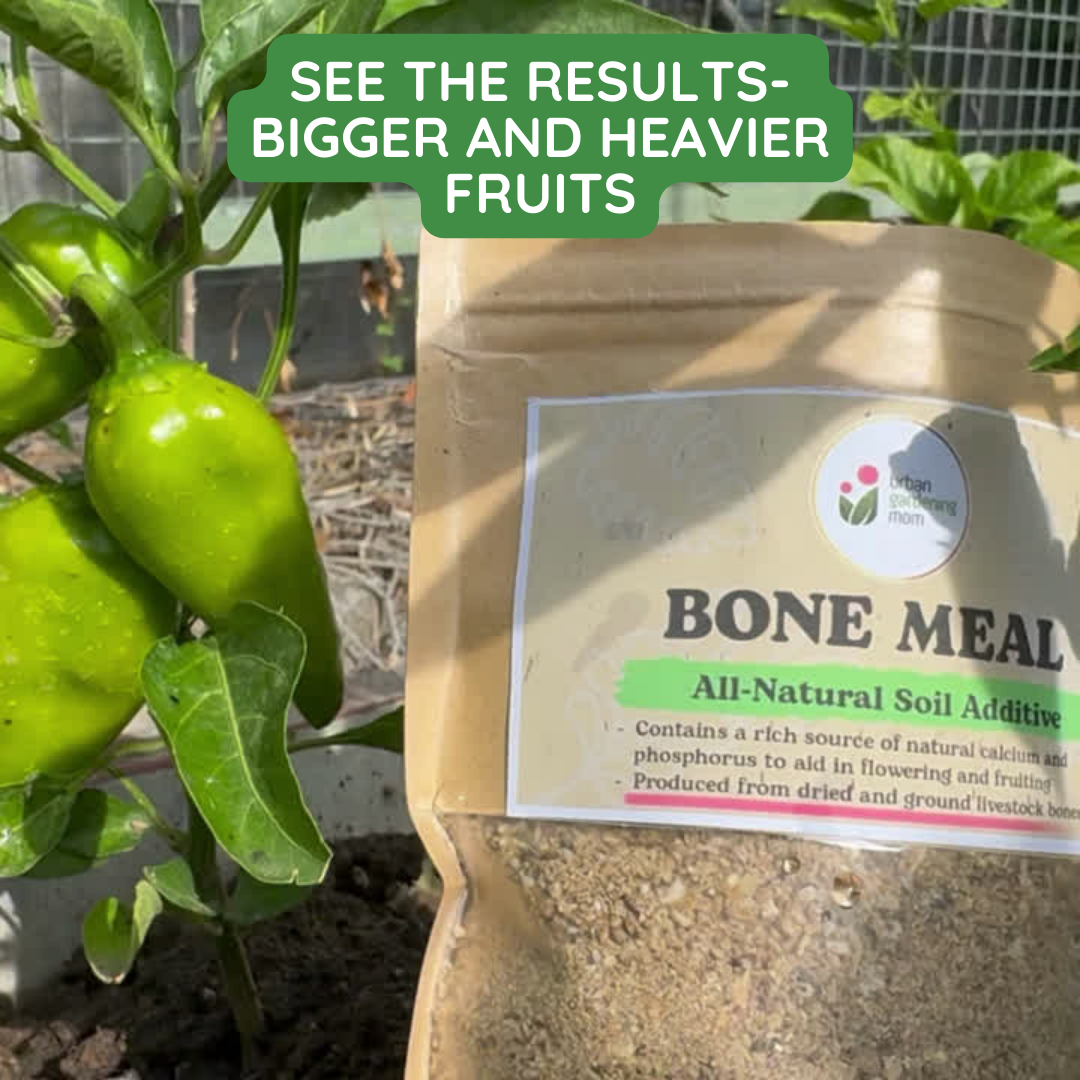 Bone Meal - An All- Natural Soil Additive Derived from Dried and Ground Livestock Bones