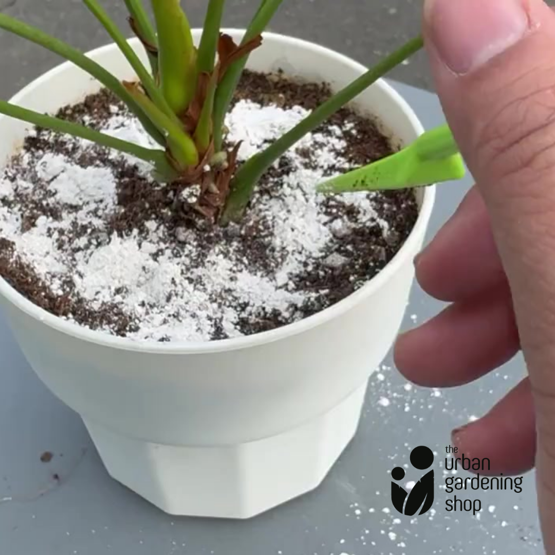 Bone Ash - All Natural Garden Soil Additive Derived from Calcined Livestock Bones Containing a Rich Source of Calcium and Phosphorus