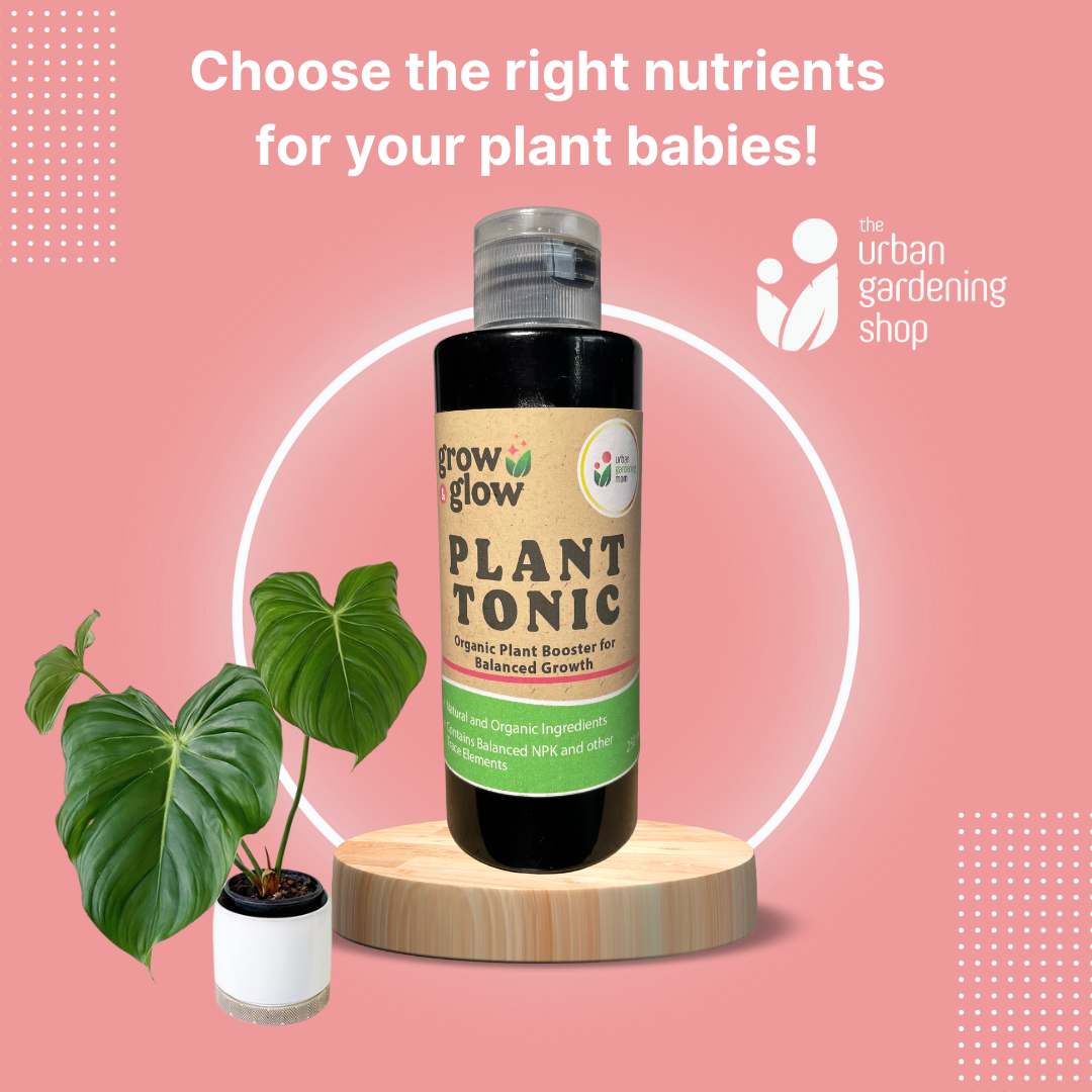 Indoor Plant Tonic - for Houseplants and Home Garden Use 250ml