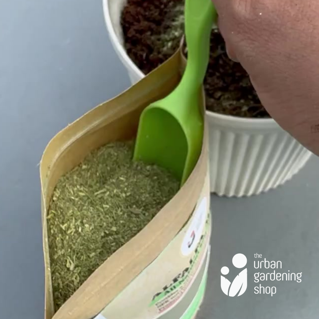 Alfalfa Meal - All-Natural Garden Soil Additive Derived from Dried Alfalfa