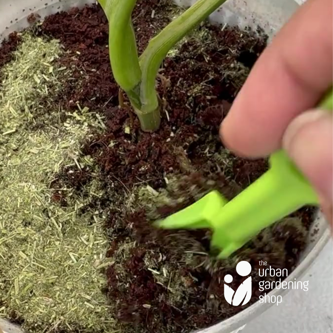 Alfalfa Meal - All-Natural Garden Soil Additive Derived from Dried Alfalfa