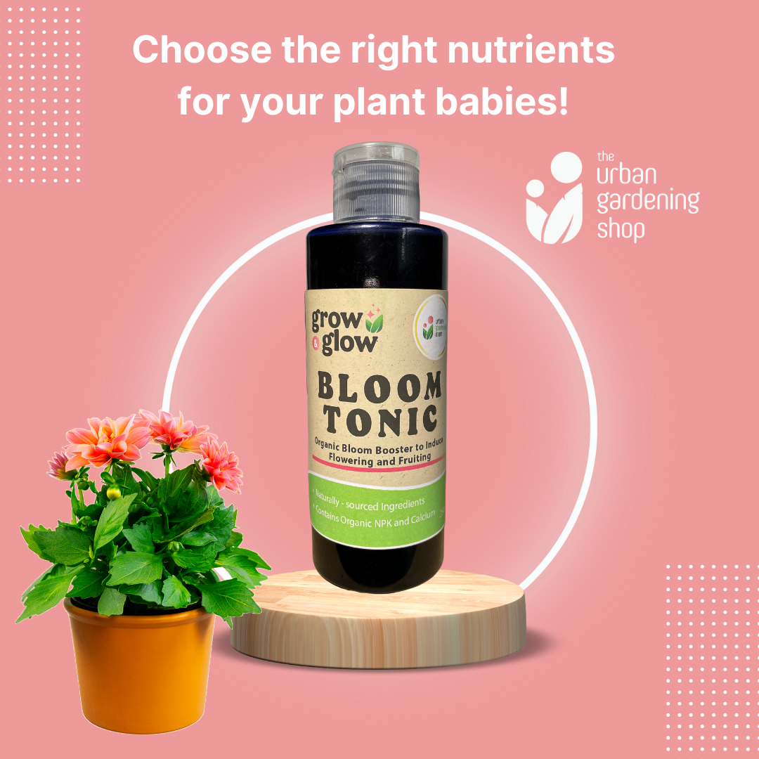 Indoor Plant Tonic - for Houseplants and Home Garden Use 250ml