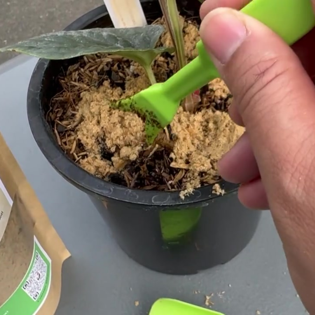Feather Meal - All-Natural Soil Additive Derived from Poultry Feathers