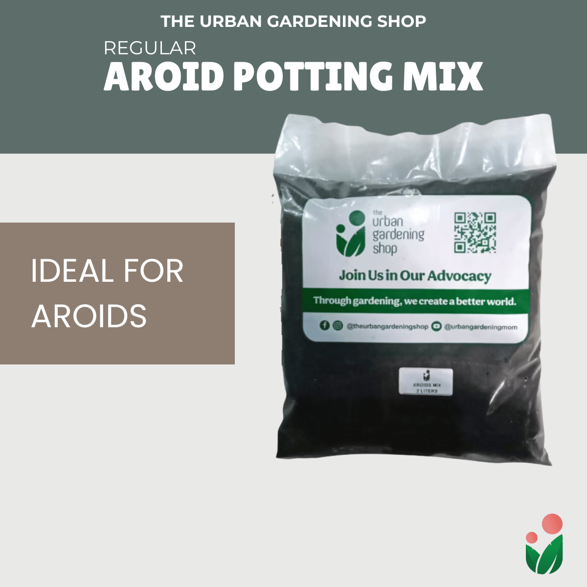 philodendron potting soil mix AROIDS SOIL -LESS POTTING MIX- Best for Monstera, Philodendron, Aglaon – Urban Gardening Mom