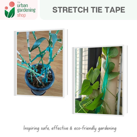Green Garden Tie Tape for Vines Grafting Plant Support