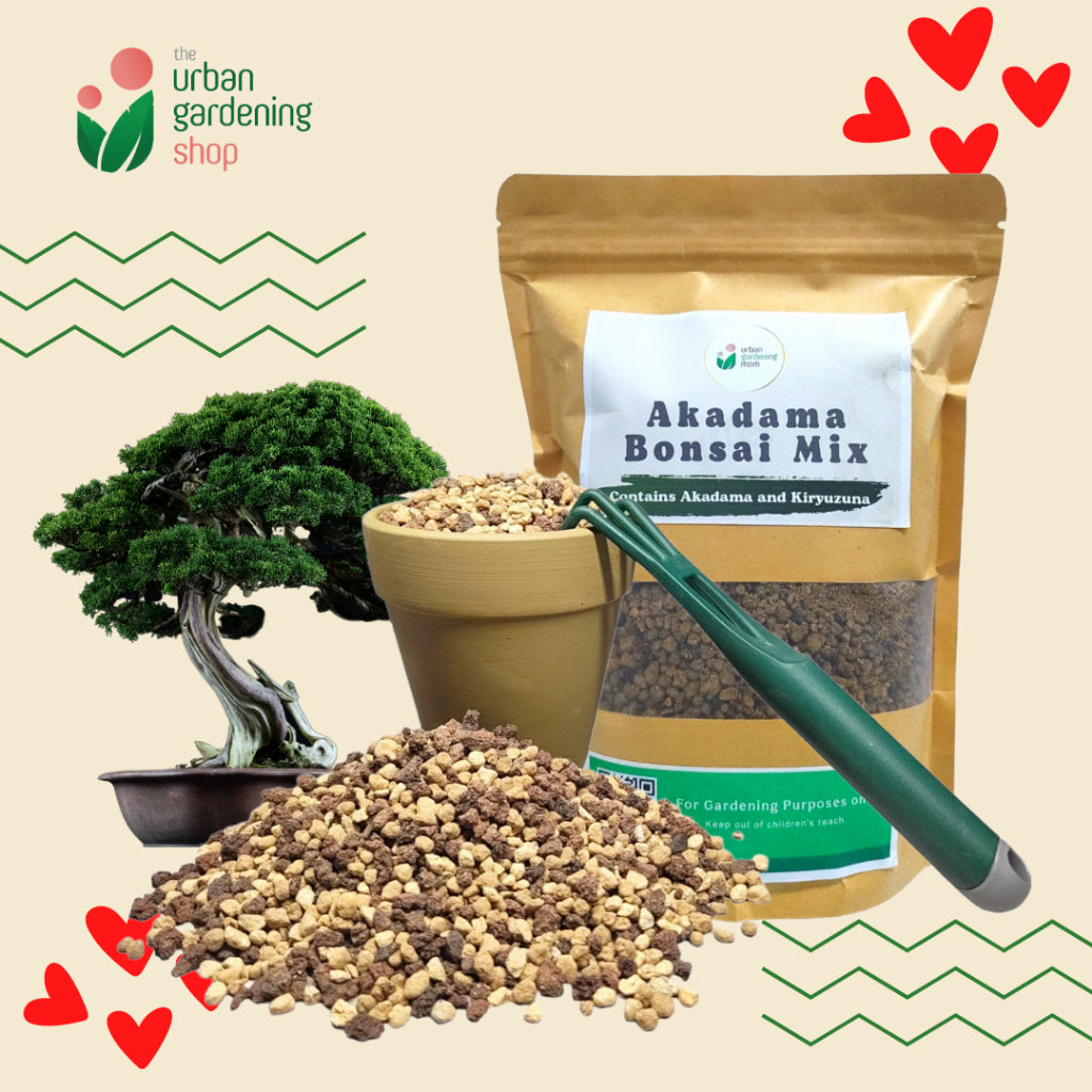 Akadama Bonsai Mix - Pre-mixed and Ready to Use