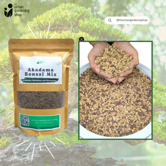 Akadama Bonsai Mix - Pre-mixed and Ready to Use